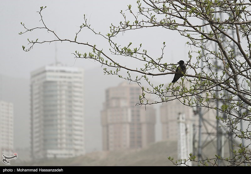 هواشناسی ایران ۱۴۰۱/۰۱/۲۳؛ نوار غربی کشور درگیر گردوخاک/ هشدار سازمان هواشناسی برای تمام گروه‌های سنی