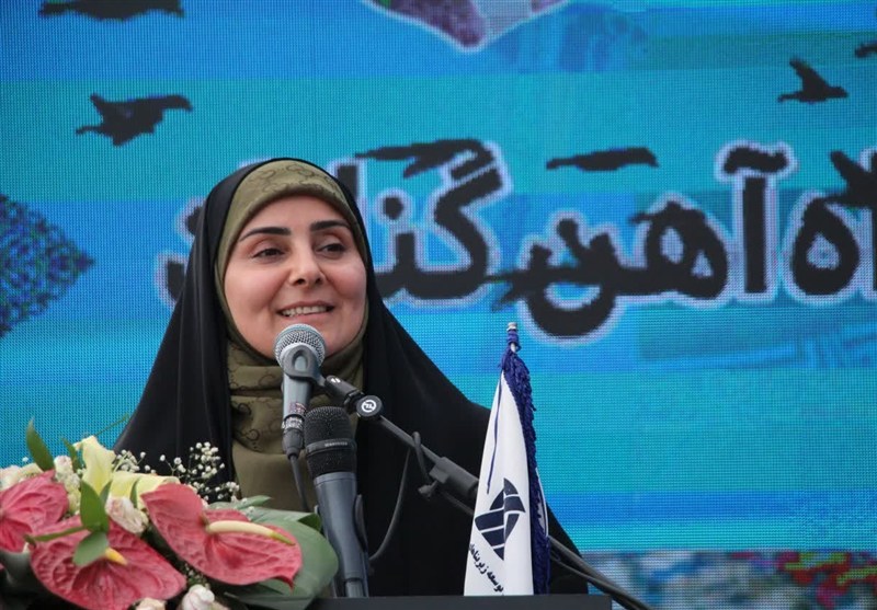 مکانیسم ماشه مانع توسعه حمل‌ونقل کشور نمی‌شود
